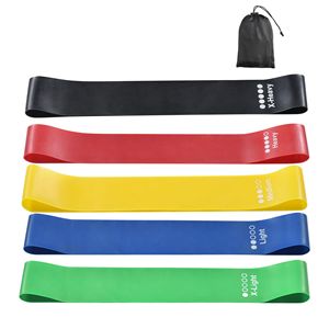 Fasce di Resistenza Elastici Durevoli ad Alta Elasticità, Accessori Portatili per Allenamento Fitness, Borse Portatili, Attrezzi per Esercizi Fitness in TPE, Lattice e Tessuto Espanso - Product Image 1