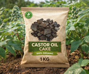 Engrais granulaire en poudre de ricin biologique, nutritif pour plantes, pour toutes les cultures, exportation, Terra Bio Naturals Pvt Ltd 2 - Product Image 2
