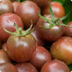 Tomates Rojos Frescos al por Mayor, Tomates Naturales y Saludables Cultivados en Granja para Procesamiento de Alimentos, Restaurantes, Exportación al por Mayor - Product Image 3