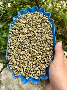 VIETNAM ARABICA <b>COFFEE</b> ROASTED | LIGHT & MEDIUM ROAST | WHOLESALE SPECIALTY SINGLE ORIGIN <b>BEANS</b> - Product Image 5