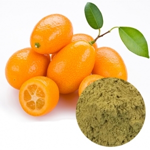 WHOLESALE PRICE FREEZE DRIED KUMQUAT FRUIT JUICE POWDER | NATURAL SOUR CITRUS FLAVORING POWDER - Product Image 1