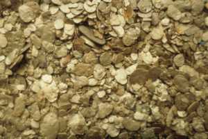 Proveedor Directo de Pepitas de Oro de 24K y Barras de Oro con 98% de Pureza, Oro Natural en Bruto para Inversión, Refinación y Fabricación de Joyas - Product Image 6