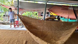 COCO COIR Malla de Fibra de Coco Natural para Control de Erosión, Biodegradable, para Protección de Taludes y Paisajismo de Riberas - Product Image 6