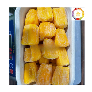 Frozen Jackfruit Export Bulk | IQF Seedless Natural Sweet | Vietnam Factory OEM Service - Product Image 5