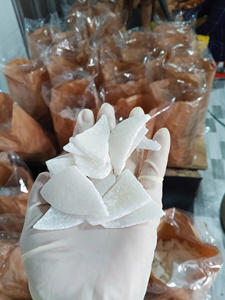 มะพร้าวอบกรอบเวียดนาม – ขนมมะพร้าวอบแห้งรสหวานธรรมชาติ เคี้ยวเพลิน เหมาะสำหรับขายปลีก - Product Image 4
