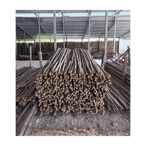 Eucalipto Desbastado de Plantaciones Sostenibles para el Mercado Global de Madera - Product Image 1