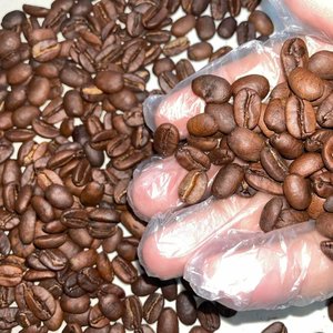 Granos de Café Arábica de Alta Calidad, Vietnam Robusta Tostado de Primera Calidad, Empacado en Bolsas de Yute de 50-60 kg, Exportación al por Mayor con Descuento para Compradores - Product Image 2