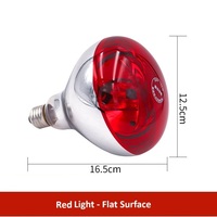 Lampe chauffante professionnelle à double tête, construction métallique, lampe d'incubation portable