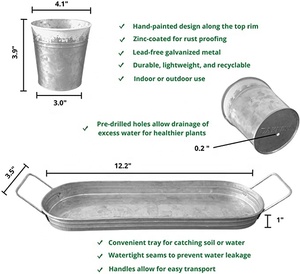 <b>Herb</b> <b>Pots</b> <b>for</b> Indoor Plants with Tray - Galvanized Flower <b>Pots</b> - Windowsill Planters Customization - Product Image 4