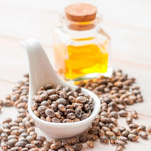 Graines de ricin de qualité supérieure, naturelles et matures, pour l'exportation en vrac, emballées en sacs tissés pour l'extraction d'huile industrielle - Product Image 3