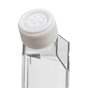 ขวดเพาะเลี้ยงเซลล์แบบไวต่อความร้อน JET BIOFIL CellDETACH T182 ขนาด 600 มล. แบบปลอดเชื้อ ผลิตจากพลาสติก PS พร้อมช่องระบายอากาศสำหรับการเก็บเซลล์แบบไม่ใช้เอนไซม์ - Product Image 4