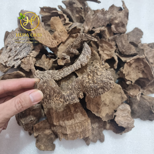 Oud Vietnamita Cultivado Naturalmente - Aroma Atemporal de la Naturaleza - Product Image 3