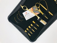 Pince professionnelle pour Extension de cheveux en acier inoxydable plaqué or, Kit d'outils avec ruban adhésif, pince à pression avec coussinets en silicone