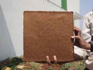 Fabricante y Exportador Líder en India de Turba de Coco/Esponja de Coco en Bloques de 5kg/650g con Bajo Contenido de CE - GEEWIN EXIM - Product Image 2