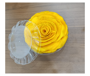 Factory Price Soft <b>Dried</b> <b>Mango</b> in Plastic Box Ogarnic <b>Dried</b> <b>Mango</b> Healthy Snack Vietnam <b>Dried</b> <b>Mango</b> No Sugar Added ODM Factory - Product Image 1