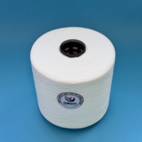 Fil 100% polyester filé Ne 20/2, fil de fibre de polyester à haute ténacité brillant pour vêtements, point de croix, couture industrielle