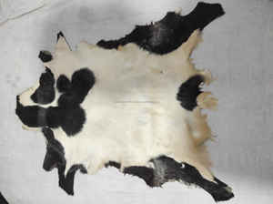 Cuir de chèvre véritable 100% original avec poils, tous les cuirs de chèvre indiens originaux, entièrement lavés et sans odeur - Product Image 3