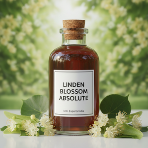 Aceite Absoluto de Flor de Tilo, Extracto de Flor de Tilia, Ingrediente Natural para Perfumería, Fabricación de Fragancias de Lujo, Proveedor al por Mayor - Product Image 1