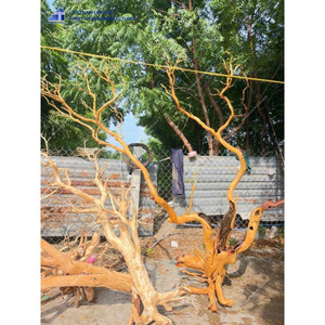ไม้ลอยน้ำธรรมชาติขนาดใหญ่ ตกแต่งตู้ปลา รูปทรงไม่สม่ำเสมอ ทนทาน ผลิตในเวียดนาม - Product Image 6