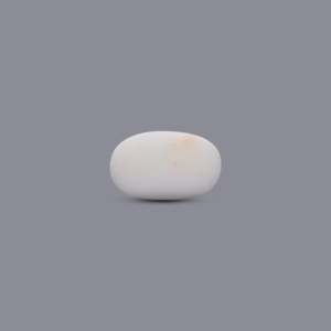 Natural White Coral Oval Cabochon 8.85 Carat Loose Gemstone 7x3mm Certified Wholesale - Product Image 2