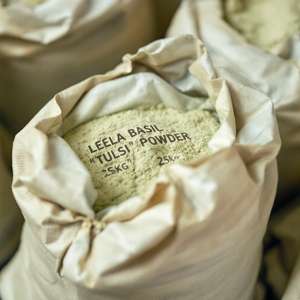 Polvo de Hoja de Tulsi (Basil) |   Ocimum Sanctum |   Polvo Herbal para Desintoxicación y Limpieza - Product Image 5