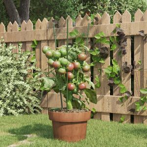 Ensemble de 5 supports de plantes vertes pour jardin, clôtures, treillis et portails - Product Image 1