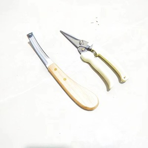 Juego de herramientas para reparar pezuñas de caballos, para recortar pezuñas de ovejas y vacas - Product Image 3