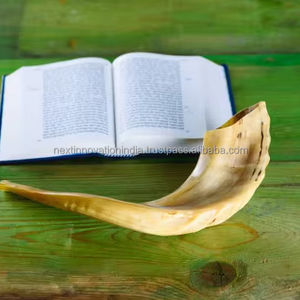 Sobresaliente Kosher Kudu Shofar de Israel Clásico Medio Pulido Cuerno Tallado Ángel Estilo Religioso - Product Image 1