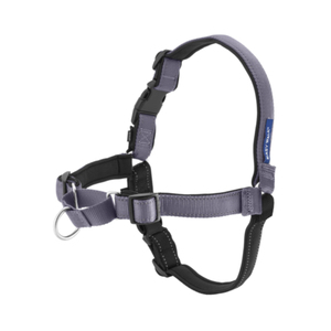 Arnés Personalizado para Perros, Chaleco Ajustable para Perros Grandes - Product Image 1