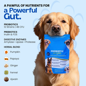 Friandises à mâcher probiotiques pour chiens de toutes races, soutien digestif, renforcement immunitaire, friandises naturelles à mâcher, mélange prébiotique à base de plantes - Product Image 4