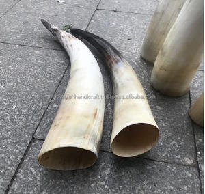 High Quality Handcrafted <b>Drinking</b> <b>Standing</b> Horn for Restaurants Hotels Bars Use <b>Drinking</b> Horn From India - Product Image 5