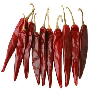 Meilleure qualité piment rouge séché S17 Teja avec tige Prix de gros disponible à la vente - Product Image 1