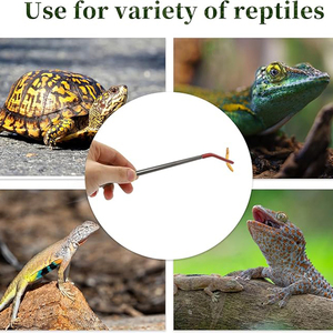 Pinzas para alimentar lagartos, pinzas rectas para alimentar reptiles de 10,63 pulgadas con punta de goma, pinzas para alimentar geckos en terrario - Product Image 4
