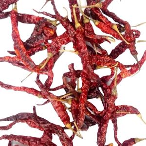High Quality Byadgi <b>Dry</b> <b>Red</b> <b>Chilli</b> Available for Export - Product Image 6
