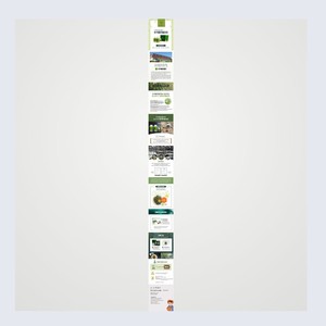 Suministros de belleza al por mayor, tabletas de Chlorella coreanas del condado de Goseong, 300 mg x 500 tabletas, paquete económico para 1 mes - Product Image 1