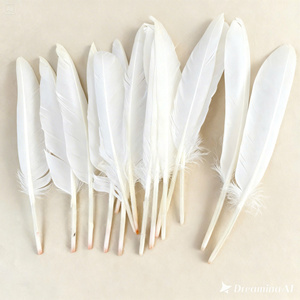 2026 High Quality White Duck <b>Feather</b> Processed Clean Bulk Supply Vietnam for Pillow Cushion Filling Export - Product Image 2