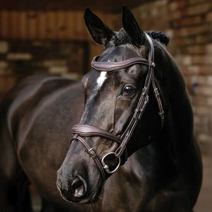 Brida de Cuero para Caballo de Primera Calidad con Riendas, Resistente, Duradera y Cómoda para Entrenamiento y Competición - Product Image 1