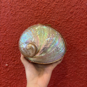 กล่องเครื่องประดับเปลือกหอยโบราณ กล่องใส่เครื่องประดับมุกเปลือกหอย กล่องเก็บของเปลือกหอยเป๋าฮื้อ กล่องของขวัญเปลือกหอยสไตล์โบราณ ของตกแต่ง - Product Image 1