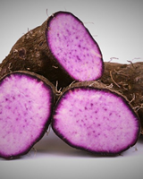 POUDRE D'UBE PREMIUM – COULEUR NATURELLE, TEXTURE FINE, DISPONIBILITÉ EN GRANDS VOLUMES