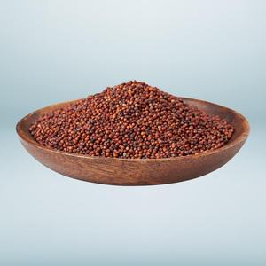 Farine de millet Ragi non glutineuse biologique la plus vendue, 100 % pure, pour le petit-déjeuner, la bouillie et l'alimentation quotidienne - Product Image 1