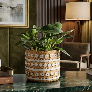 Maceta de ratán de lujo para mesa de esquina de sala de estar y decoración de plantas de oficina, para fines decorativos, venta al por mayor desde India. - Product Image 2