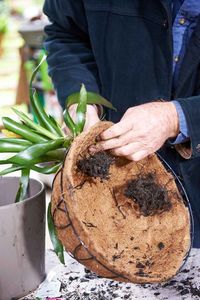 Maceta Biodegradable de Fibra de Coco con Retención Natural de Agua para la Propagación Sostenible de Plantas - Product Image 6