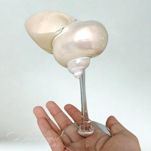 Verre à vin en coquillage marin et métal de la plus haute qualité, conçu pour les occasions décontractées et formelles. - Product Image 2