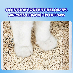 ODM/OEM Arena para Gatos de Tofu de Soja Biodegradable Ecológica, Desechable por el Inodoro, Baja en Polvo, Aglutinación Rápida, a Base de Plantas, Control de Olores, Beige - Product Image 2
