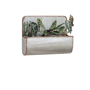 Jardinière murale ronde moderne en métal galvanisé pour plantes succulentes et herbes, style ferme, intérieur/extérieur - Product Image 3