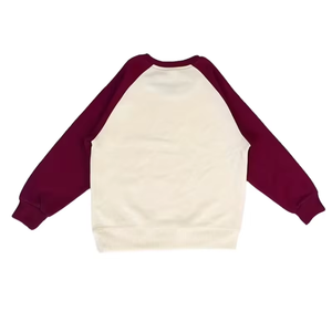 Sudadera de Forro Polar para Niños, Cuello Redondo, Bloques de Color, Manga Larga, 100% Algodón, Colores Personalizados, Tallas Grandes, ODM - Product Image 2