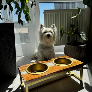 Ensemble de bols pour animaux de compagnie avec support, en bois poli écologique, fabriqué à la main en Europe, vaisselle décorative pour mariage et service à domicile - Product Image 1