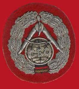 Insignia Bordada Personalizada GERMAN EAGLE-664 con Ancla y Corona de Laurel, Parche de Tela Cosido para Uniforme - Product Image 5