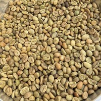 Café Vert Robusta du Vietnam Taille 13 2% Café des Hautes Plages Grains de café non torréfiés Vente en Gros Exportation Fournisseur de café au goût intense