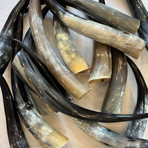 Cuerno de búfalo natural pulido a mano, par largo, para decoración del hogar y accesorios, cuerno de vaca vikingo para beber de alta calidad - Product Image 1